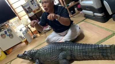 «مش هتصدق ولمدة 34 عامًا».. قصة العائلة التى تقتني تمساحًا بطول 7 أقدام في منزلها