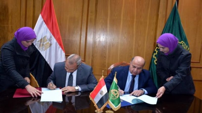 محافظ القليوبية