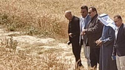 «الزراعة» تشهد افتتاح موسم حصاد القمح في سيناء