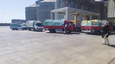 بهدف استلام 3.5 مليون طن هذا العام.. التموين تعلن فتح جميع نقاط توريد القمح المحلي