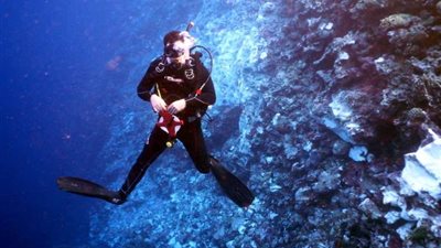 تطورات أزمة السفينة الجانحة في خليج العقبة.. حصر تلفيات الشعاب المرجانية لتقدير الغرامة