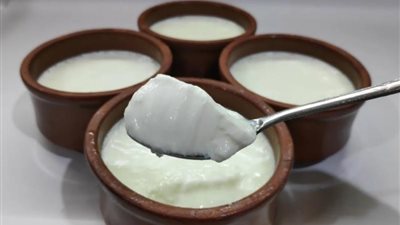 بالأسماء.. أفضل أنواع الزبادي في مصر