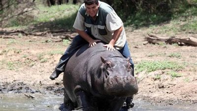 مزارع يتبني ”فرس النهر” ويرعاه كإبنة.. فقتله الحيوان بدماء باردة