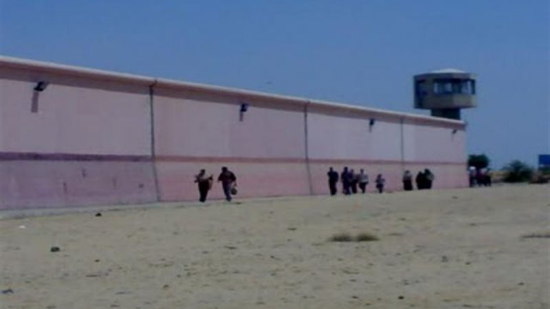 الموجز