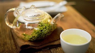 في الطقس المتقلب.. هذه الأعشاب لا غنى عنها