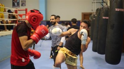 الكيك بوكسينج يعتمد خطة تدريبات الفراعنة ويجهز متابعة دورية لأداء اللاعبين