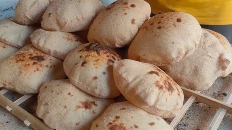 أسعار العيش والفينو