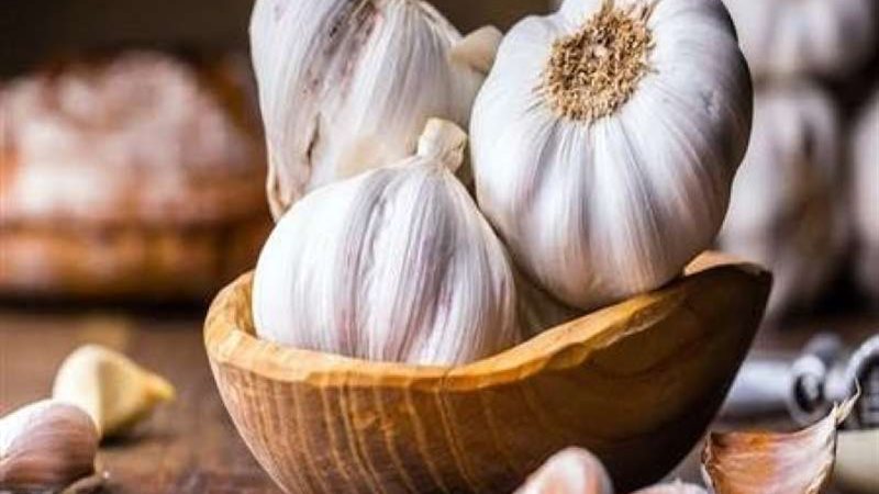 ارتفاع أسعار الثوم