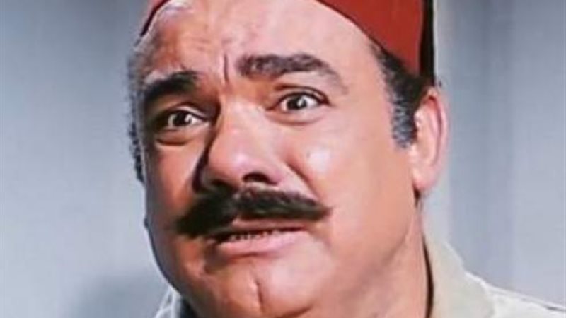 محمد رضا