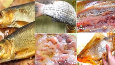 قبل فرحة شم النسيم.. اعرف أسعار الفسيخ والرنجة بالأسواق