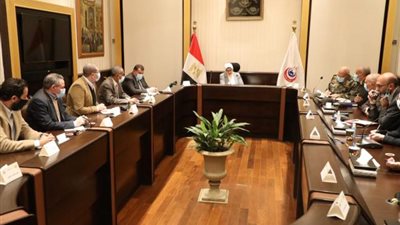 وزيرة الصحة تناقش مع شركات الغازات الصناعية توفير مخزون استراتيجي من ”الغازات الطبية” بجميع مستشفيات الجمهورية