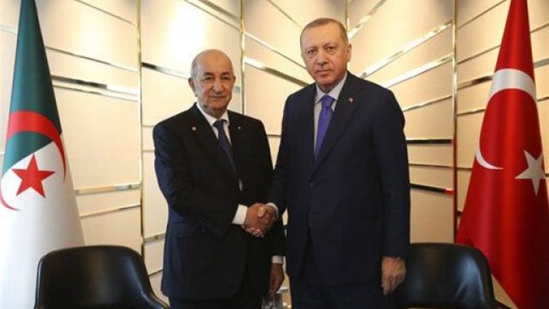 أردوغان وتبون