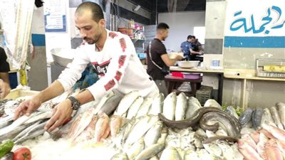ثورة أسعار السمك تؤتي ثمارها .. هبوط حاد بنسبة 30% في الإسماعيلية