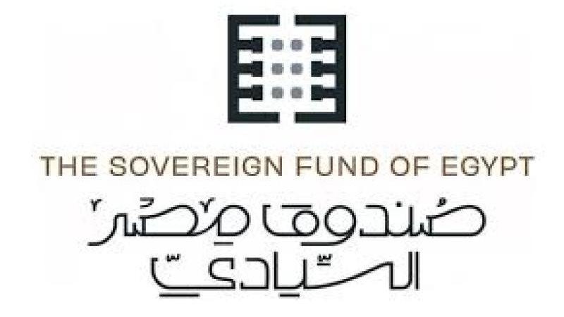 وزيرة التخطيط