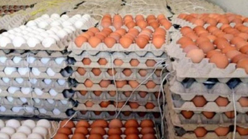 سعر كرتونة البيض