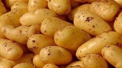 3 أسباب وراء انخفاض أسعار البطاطس .. تعرف عليها