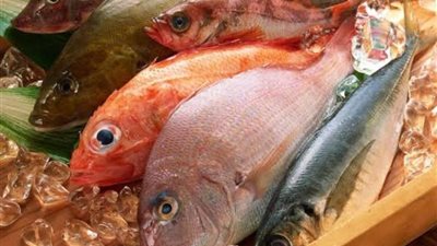 اعرف الفرق بين السمك الطازج والفاسد قبل شم النسيم 2024.. السر في العيون