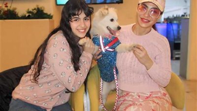 دوللي شاهين عملت عيد ميلاد لكلبها.. شاهد حكايات نجوم الفن مع الحيوانات (فيديوجراف)
