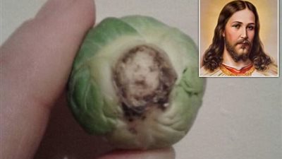 حقيقة ظهور صورة ”المسيح ” علي ”الكابوتشا”.. تفاؤل وبشري في العام الجديد