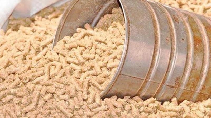 انخفاض في أسعار الأعلاف