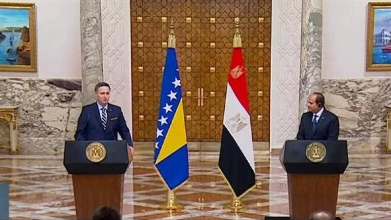 الرئيس السيسي و