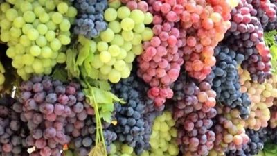 ”لو ماكلناش مش هنموت” ارتفاع أسعار العنب يثير الغضب على مواقع التواصل الاجتماعي