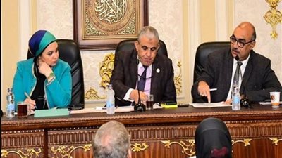 قوى النواب يوافق على موازنة ديوان عام وزارة العمل بـ187 مليون جنيه