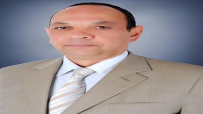 شريف عفيفى: قرار وقف استيراد السيراميك ينحاز إلى الصناعة الوطنية