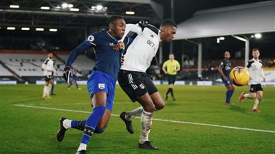 فولهام يتعادل سلبيا أمام ساوثهامبتون بالدوري الإنجليزي
