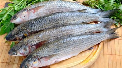 لو هتاكل فسيخ في شم النسيم.. نصائح طبية عند شرائه وتناوله