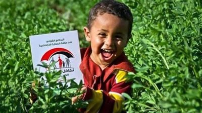 وزارة التضامن الاجتماعي استعلام عن معاش تكافل وكرامة.. بالخطوات