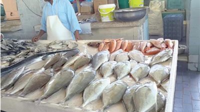 أسعار السمك «مستقرة» فى سوق الجملة بالعبور