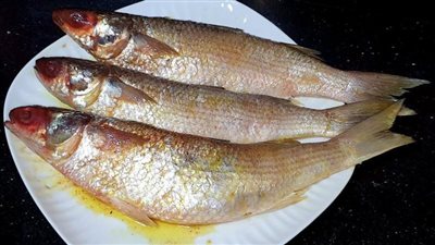 صدمة في أسعار الفسيخ والرنجة واقبال كبير على الشراء بمناسبة شم النسيم