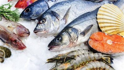 أسعار الأسماك اليوم الثلاثاء 7-5-2024