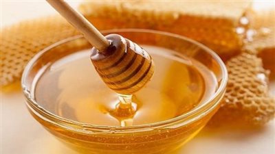 مصر تحتل المرتبة الثانية فى إنتاج العسل عربيا.. ارتفاع صادرات النحل الحى فى 2020