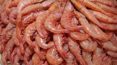 علشان محدش يضحك عليك .. تعرف على أسعار السمك والجمبرى اليوم