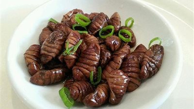 منها حليب الحصان ومخ القرد النيىء.. أغرب الأكلات حول العالم (فيديوجراف)