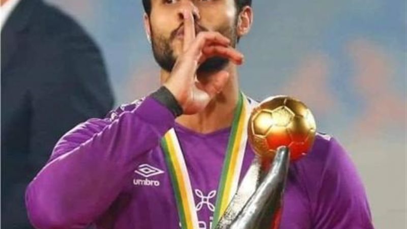 الشناوي