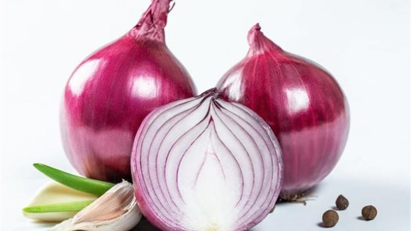 البصل