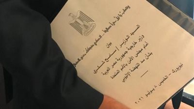 النيل علمنا النضال .. سامح شكري يتحدث للعالم من مجلس الأمن