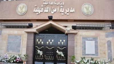 مصرع 2 من العناصر الإجرامية الخطرة وضبط آخر بالدقهلية