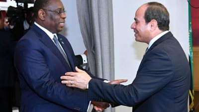 رئيس الاتحاد الإفريقي القادم: ندعم حقوق مصر المائية