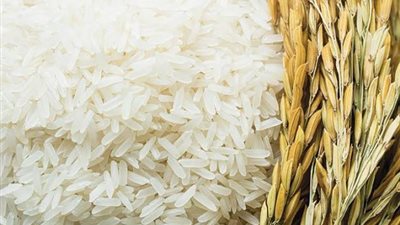 ارتفاع أسعار الأرز حقيقة أم إشاعة؟