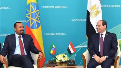 ياسر بركات يكتب عن:  العقل المصرى فى أزمة السد