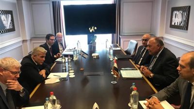 ماذا دار بين سامح شكري ووزير الخارجية الإسرائيلي؟