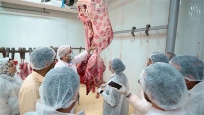 بنك الطعام المصري يبدأ استعداداته لاستقبال عيد الأضحى المبارك