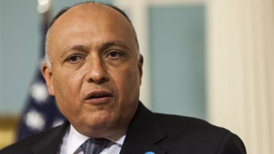 وزير الخارجية :التعنت الإثيوبي فى مفاوضات سد النهضة سيضطرنا لاتخاذ خطوات أخرى