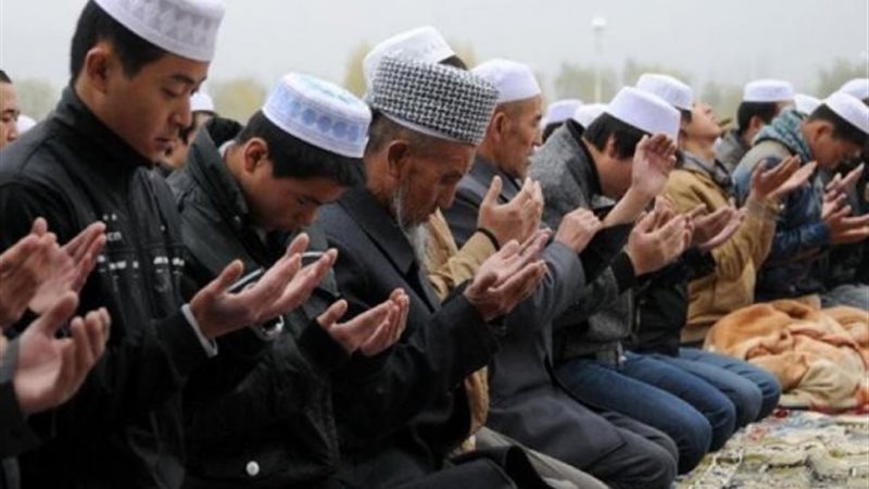 الموجز