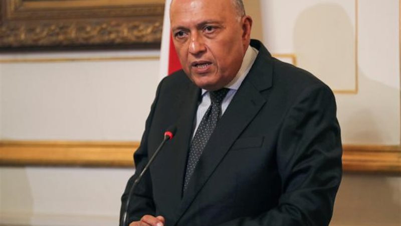 سامح شكري