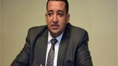 برلماني: القوات المسلحة حصن أمان المصريين.. ومحاولات التشويه لن تفلح